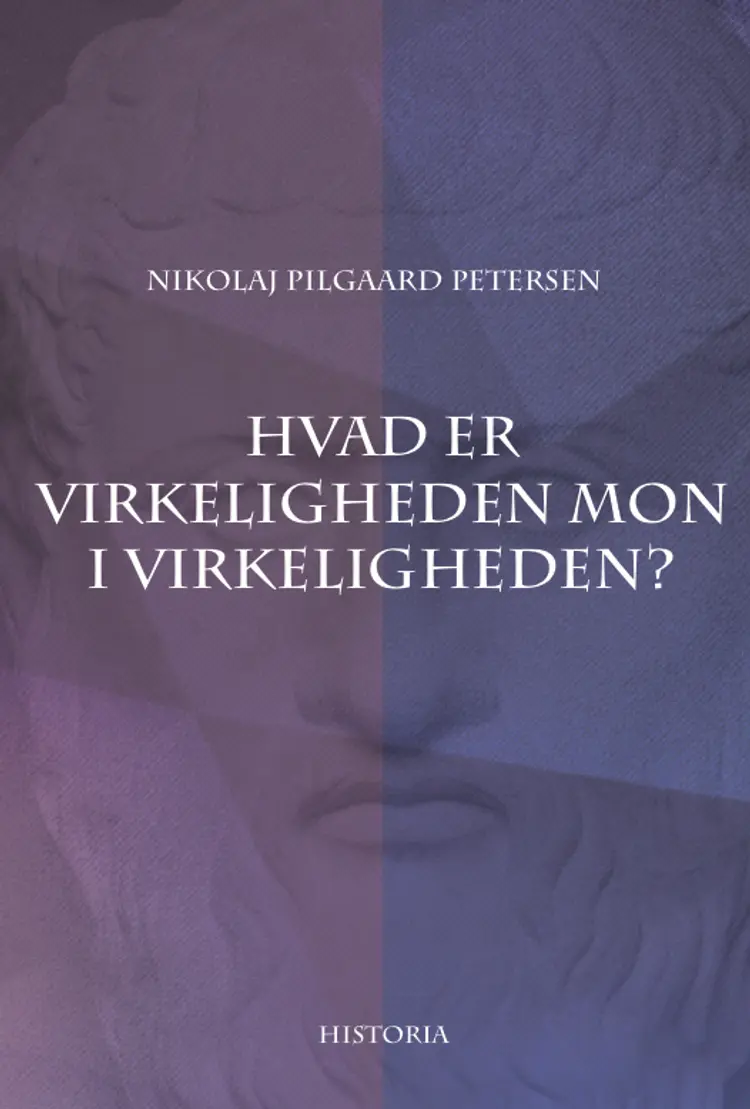 Hvad er virkeligheden mon i virkeligheden? af Nikolaj Pilgaard Petersen