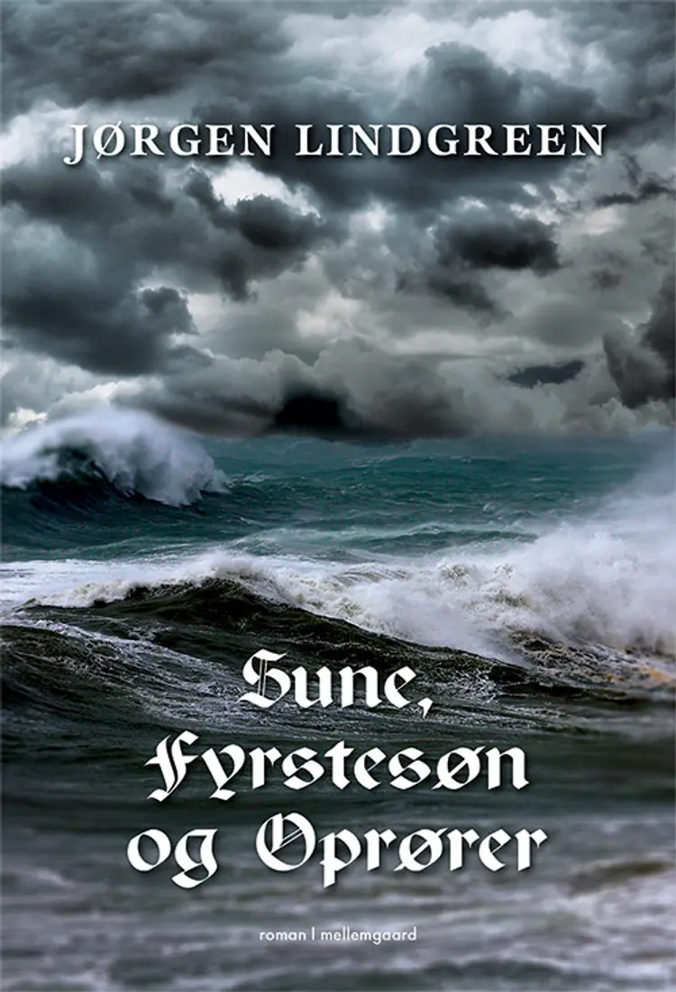 Sune, fyrstesøn og oprører af Simon Buchholtz
