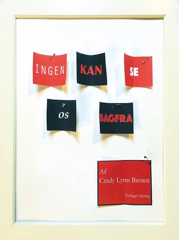 Ingen kan se os bagfra af Cindy Lynn Brown