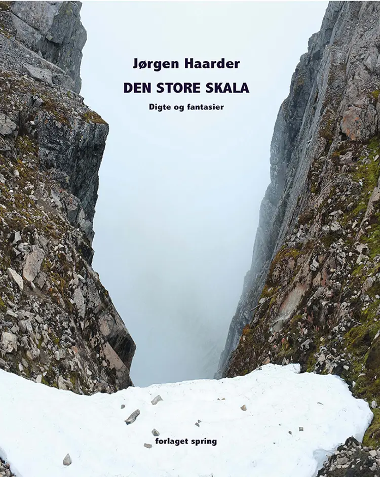 Den store skala af Jørgen Haarder