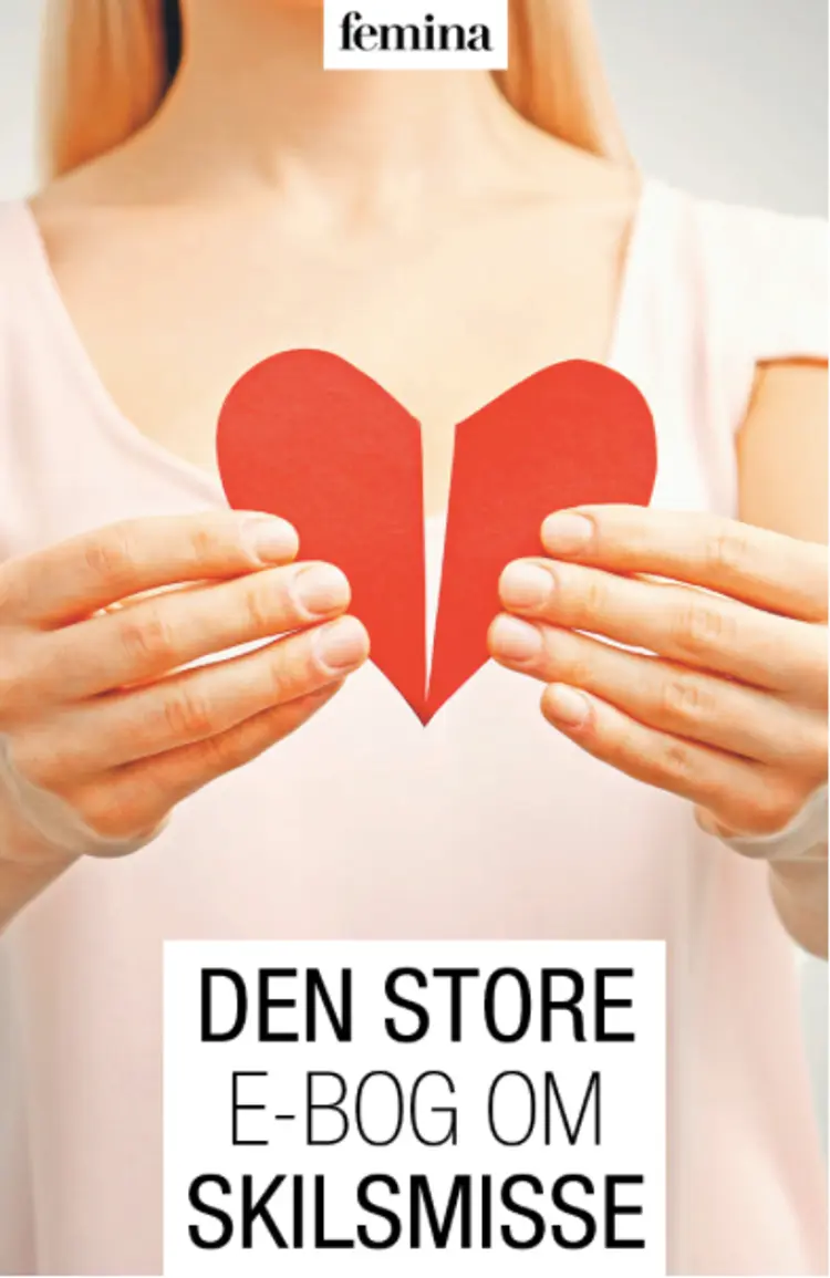 Den store e-bog om skilsmisse af Magasinet Femina