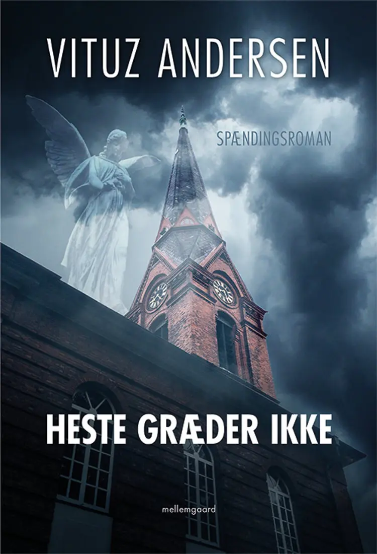 Heste græder ikke af Vituz Andersen