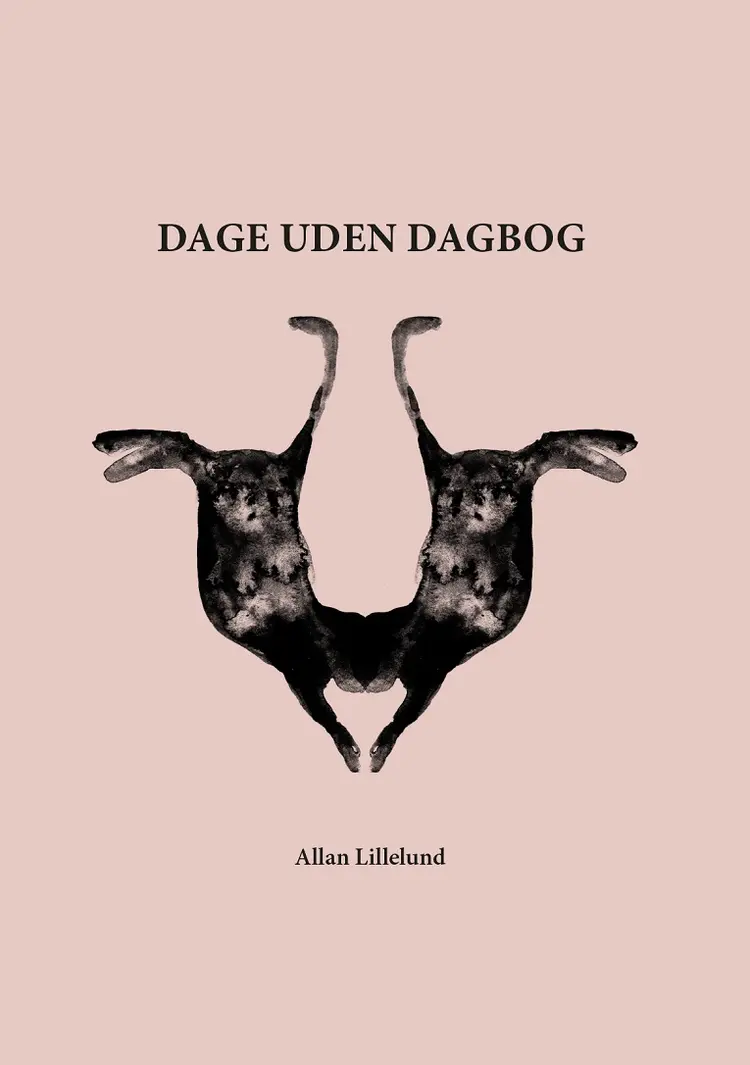 Dage uden dagbog af Allan Lillelund