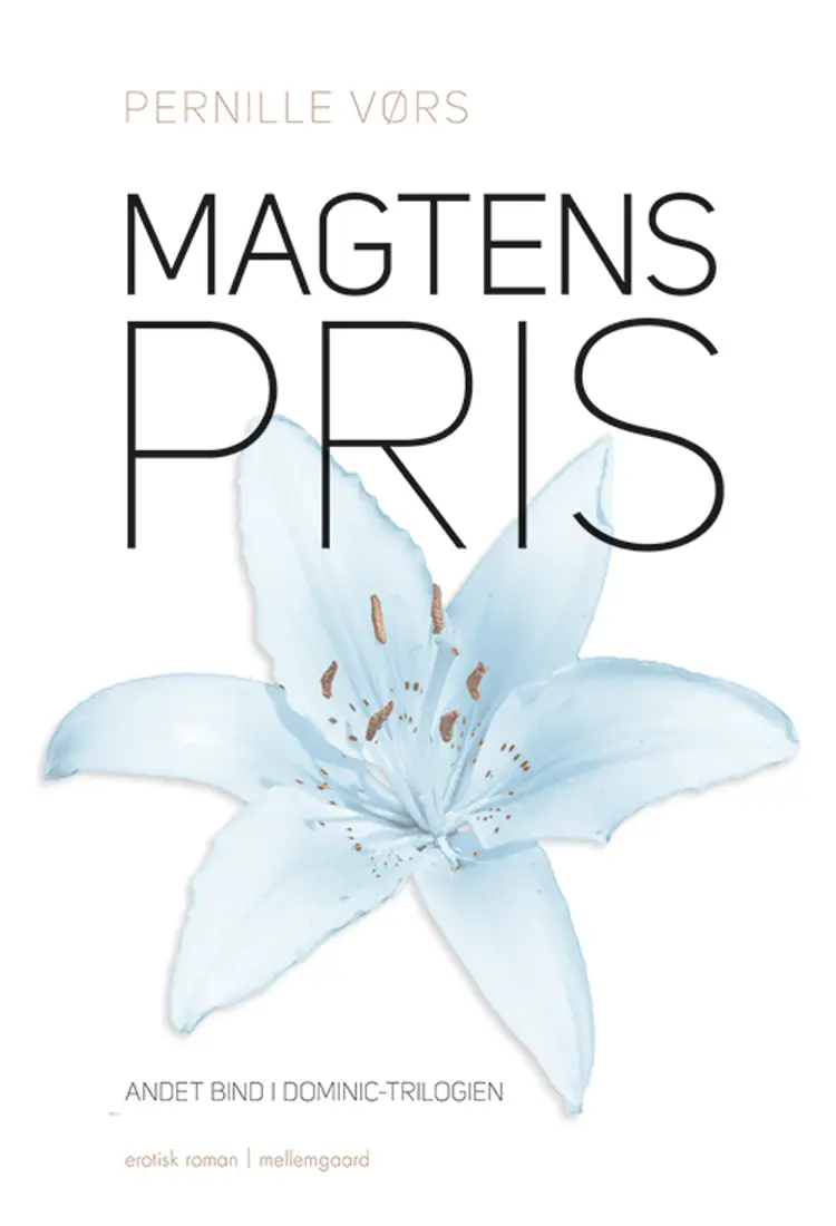 Magtens pris af Pernille Kim Vørs