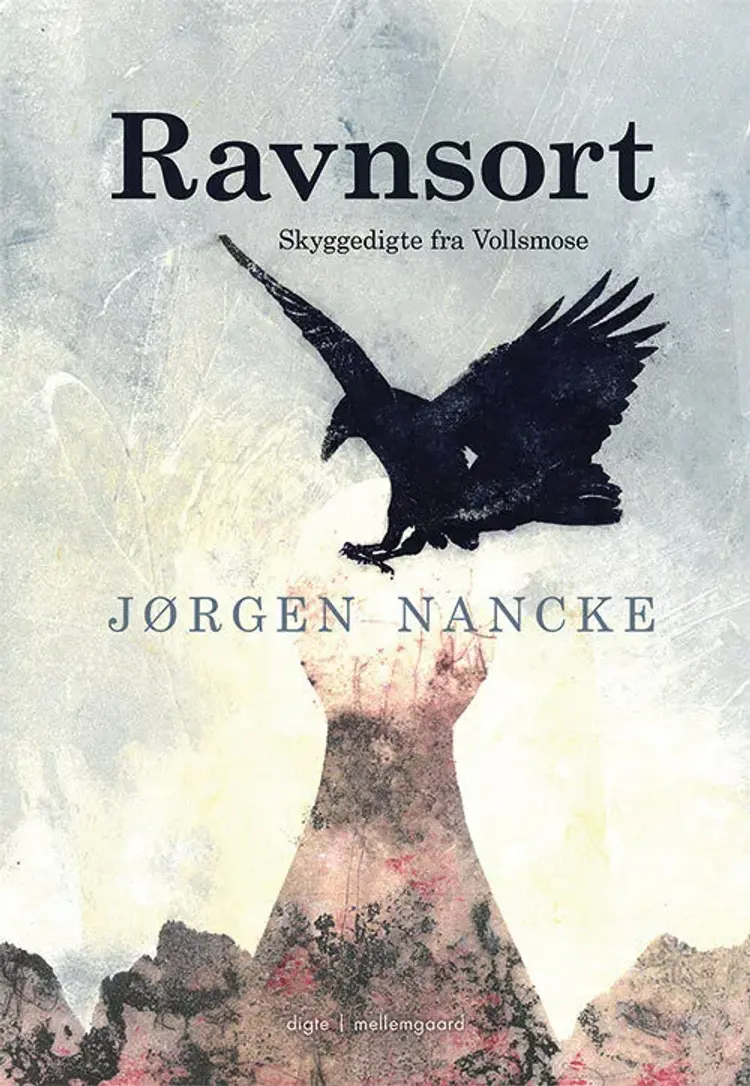 Ravnsort af Jørgen Nancke