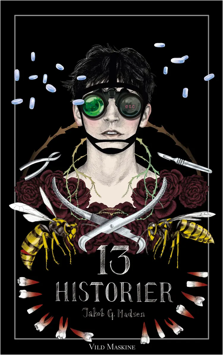 13 HISTORIER af Jakob G. Madsen