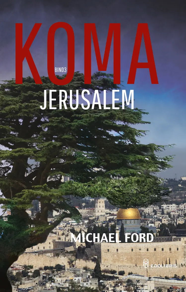 Jerusalem af Michael Ford