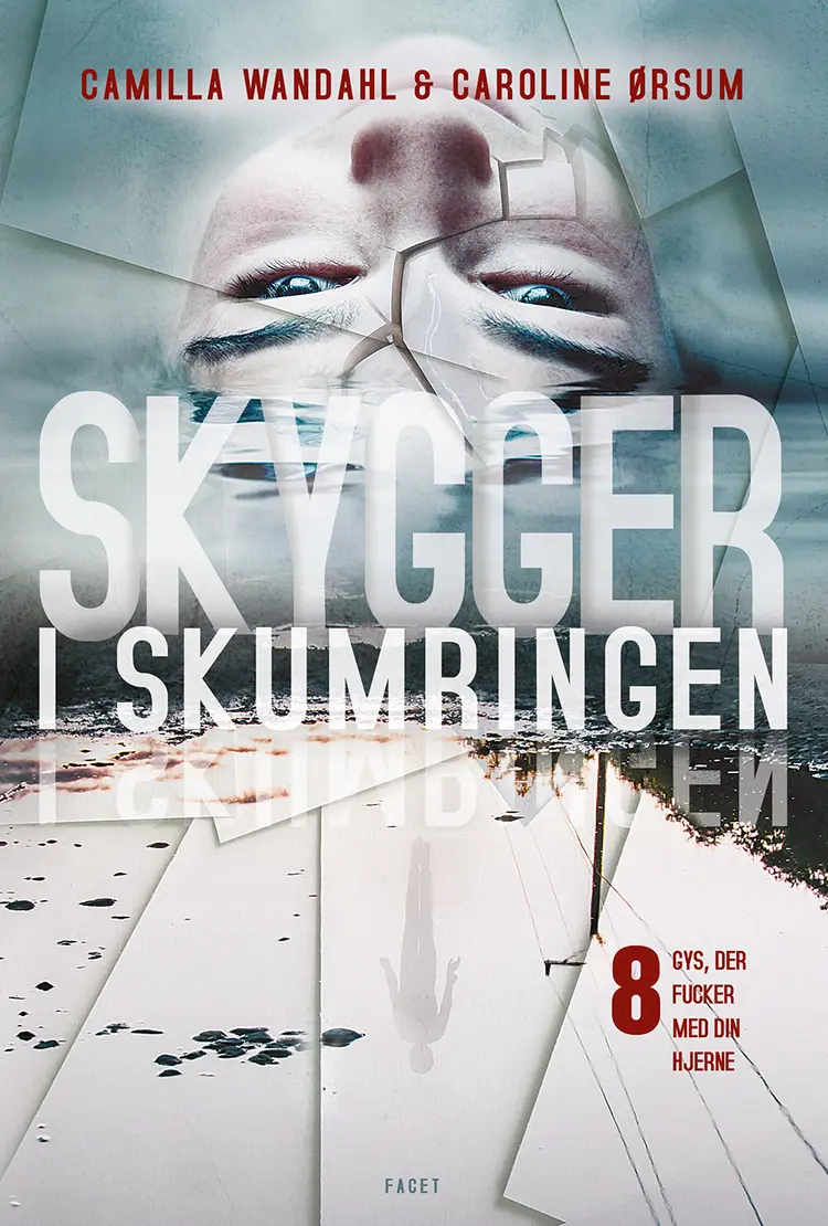 Skygger i skumringen af Caroline Ørsum