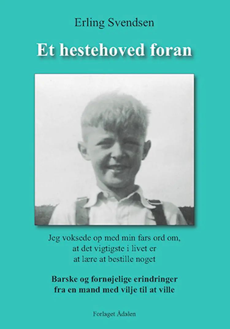 Et hestehoved foran af Erling Svendsen