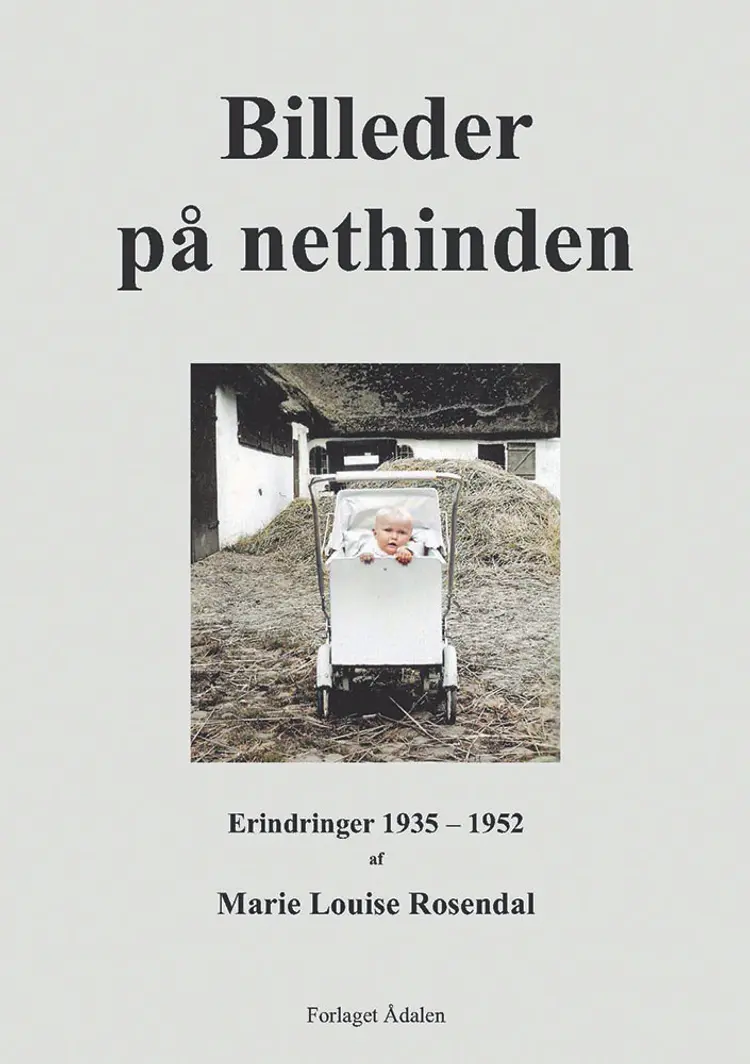 Billeder på nethinden
