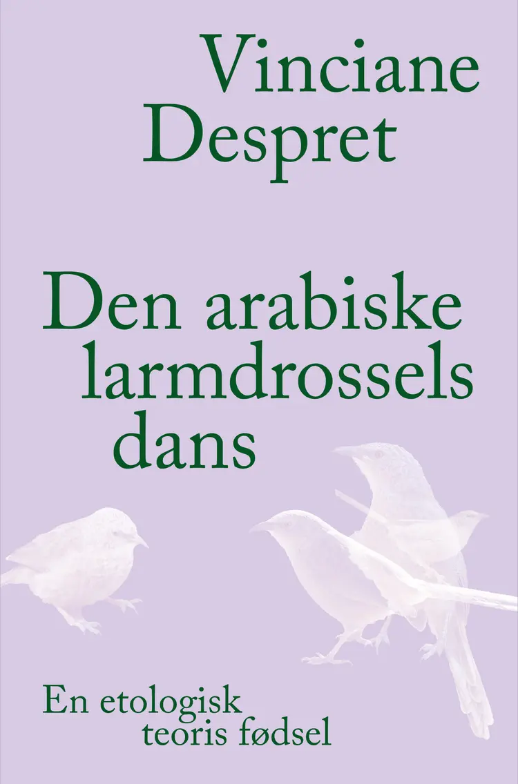 Den arabiske larmdrossels dans af Vinciane Despret