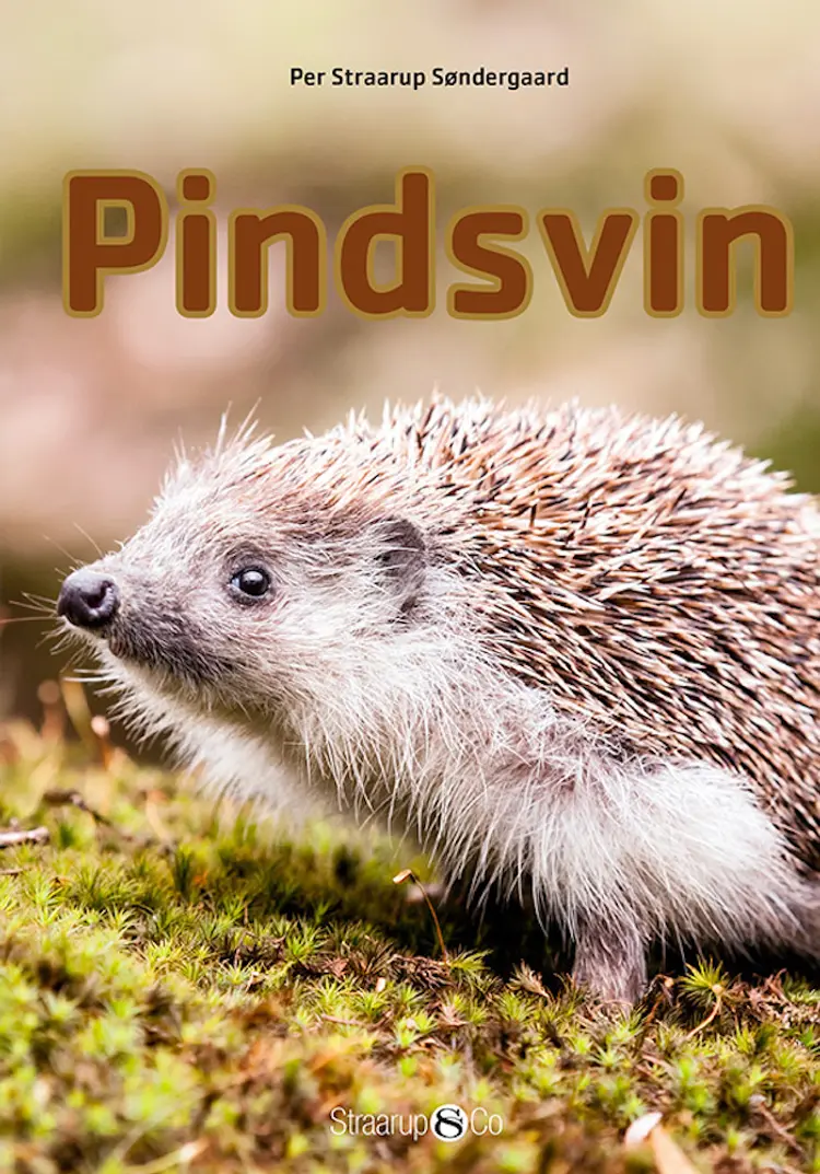 Pindsvin af Per Straarup Søndergaard
