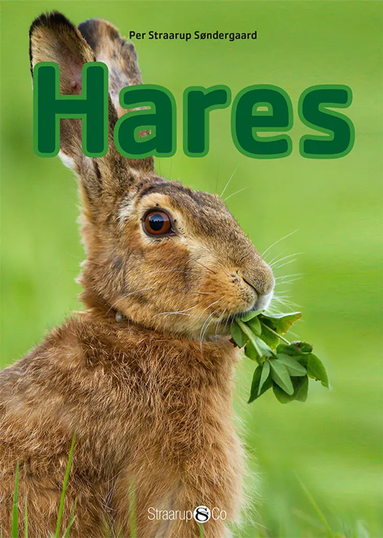 Hares af Per Straarup Søndergaard