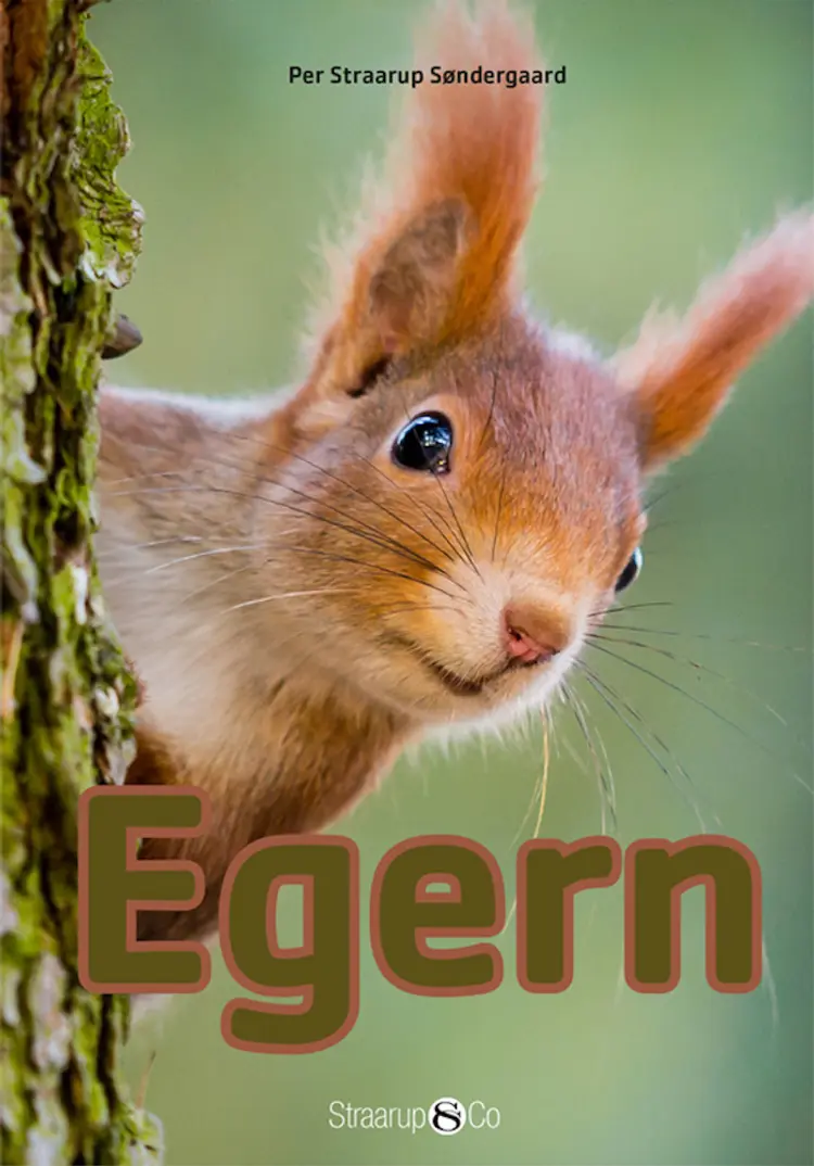 Egern af Per Straarup Søndergaard