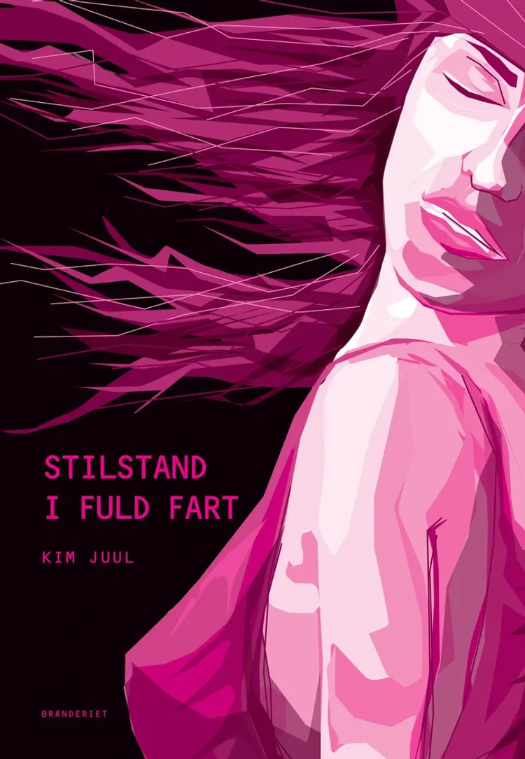 Stilstand i fuld fart af Kim Juul
