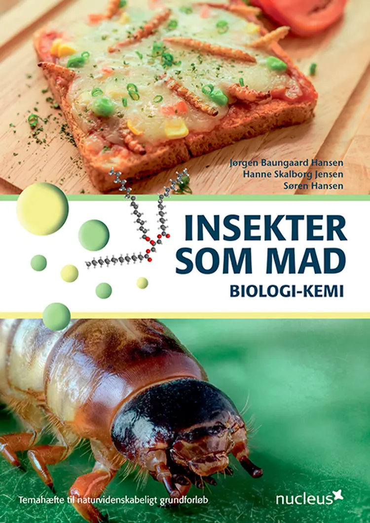 Insekter som mad af Søren Hansen