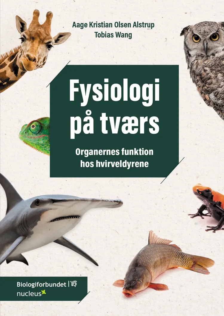 Fysiologi på tværs af Tobias Wang
