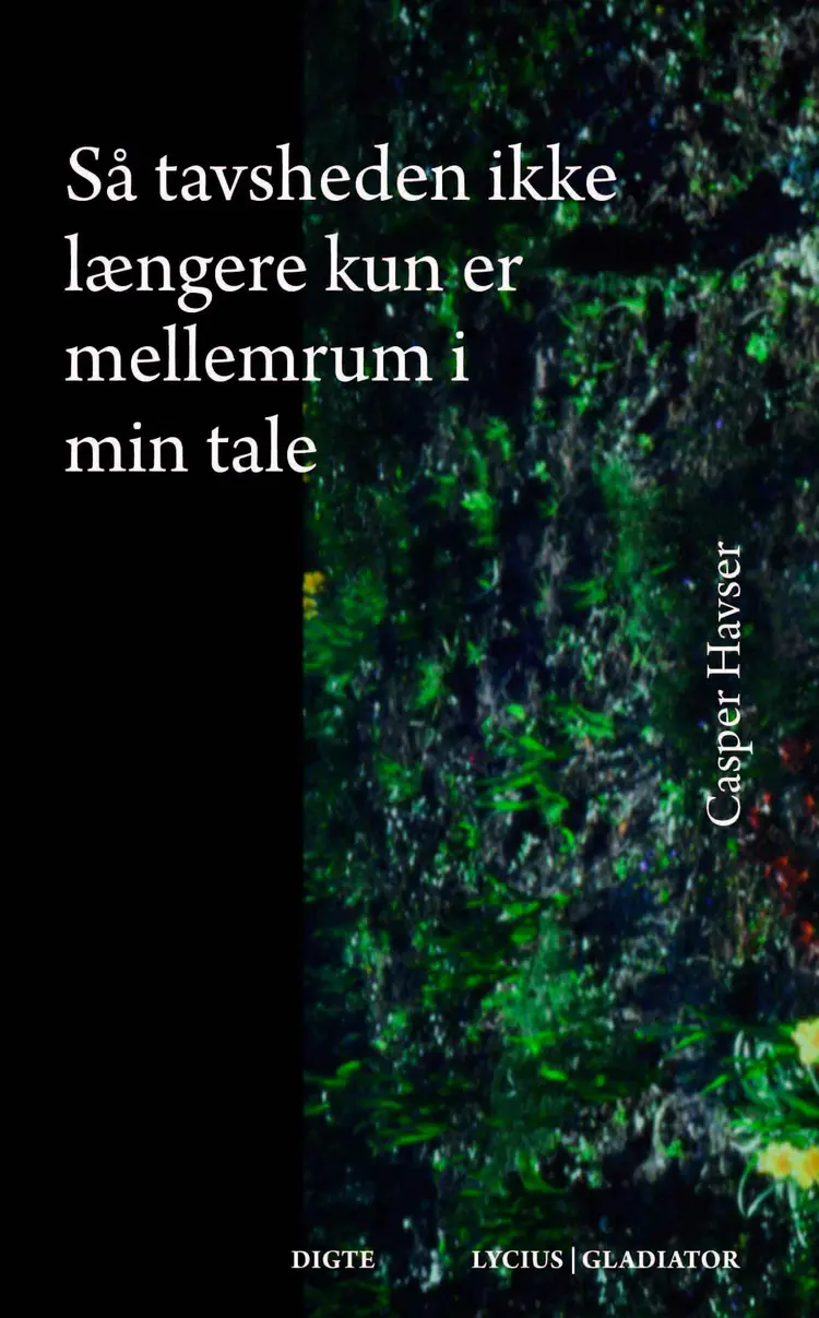 Så tavsheden ikke længere kun er mellemrum i min tale af Casper Havser