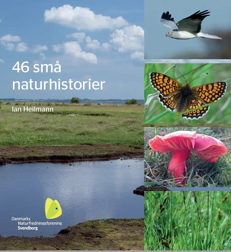 46 små naturhistorier af Ian Heilmann
