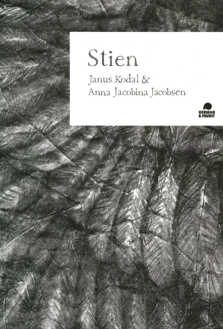 Stien af Janus Kodal