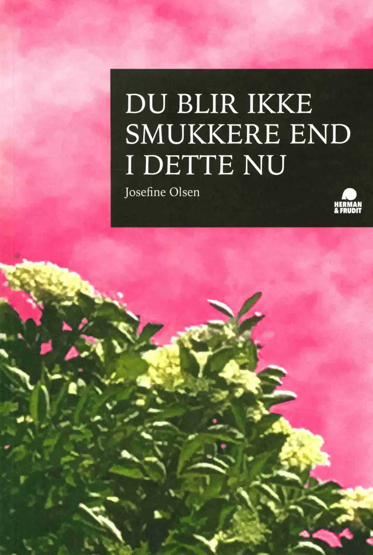 Du blir ikke smukkere end i dette nu af Josefine Olsen