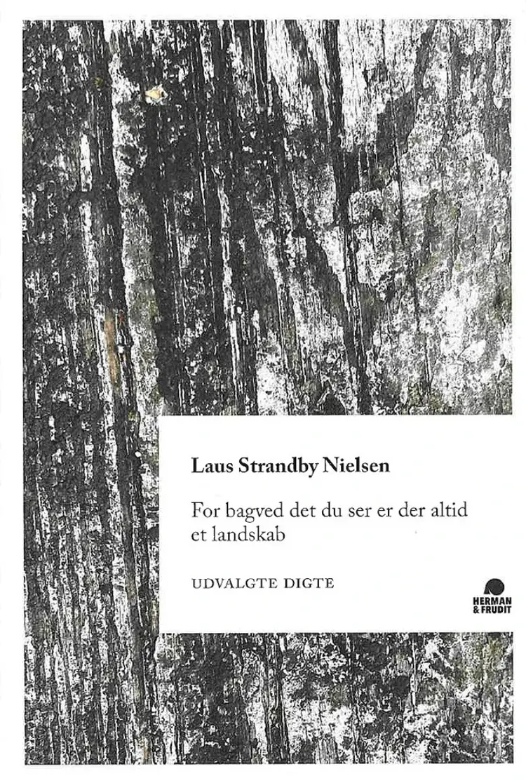 For bagved det du ser er der altid et landskab af Laus Strandby Nielsen