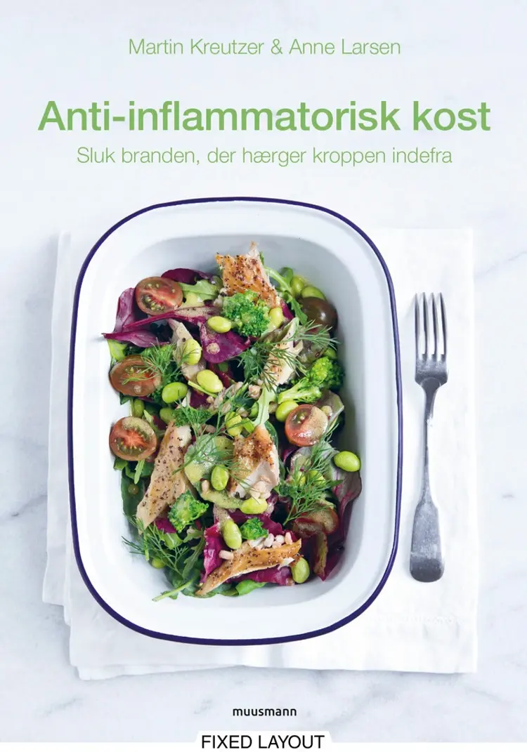 Antiinflammatorisk kost af Anne Larsen
