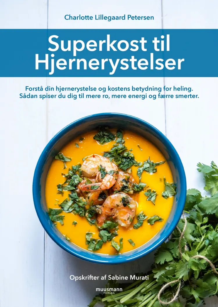 Superkost til hjernerystelser af Charlotte Lillegaard Petersen