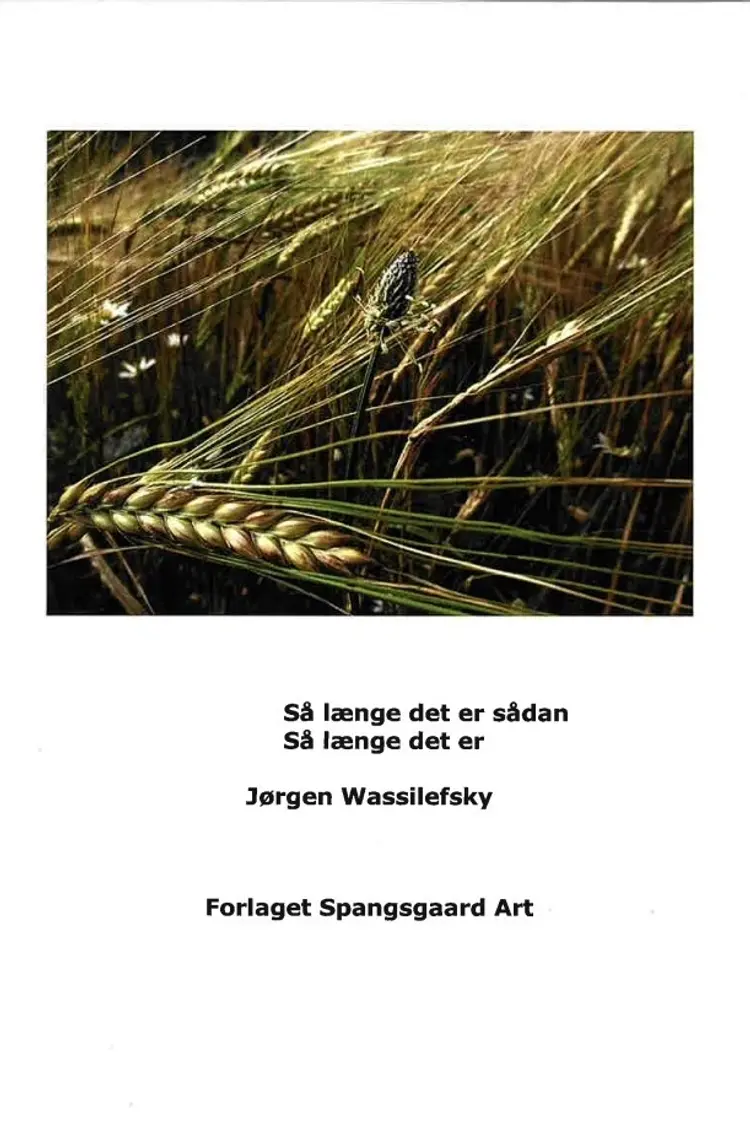 Så længe det er sådan/så længe det er af Jørgen Wassilefsky