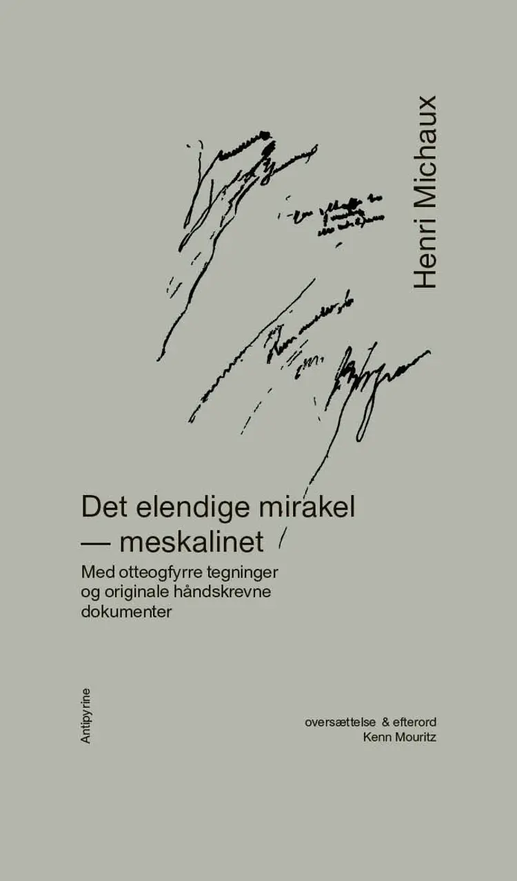 Det elendige mirakel af Henri Michaux
