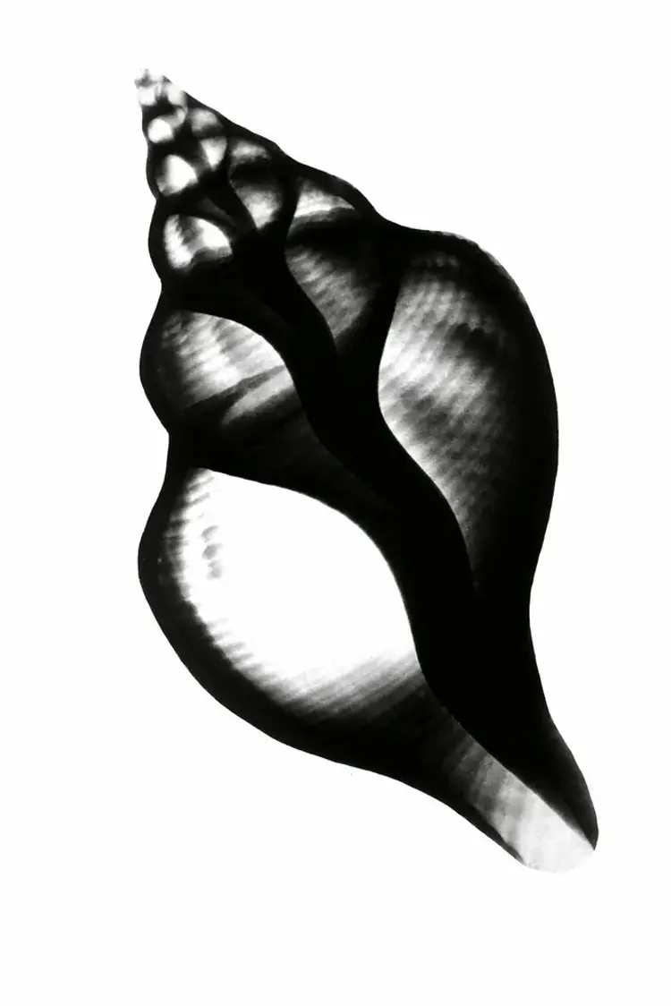 Mens jeg sover, glemmer jeg dig af Anne-Louise Bosmans