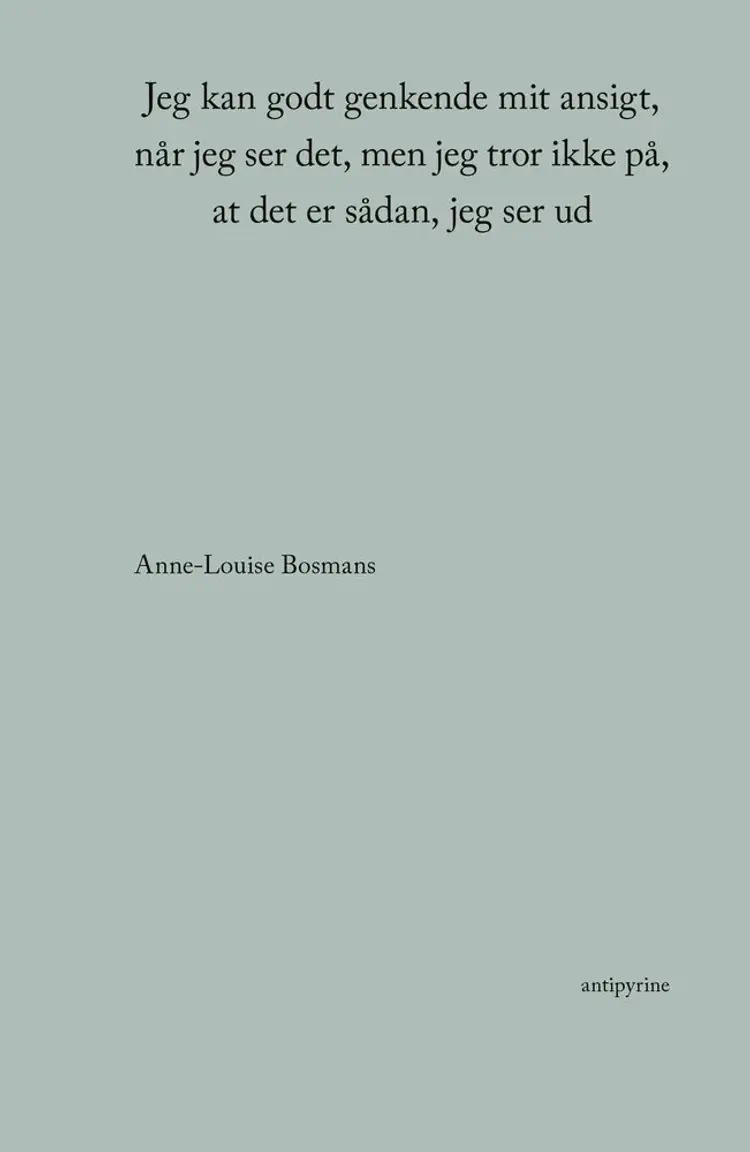 Jeg kan godt genkende mit ansigt, når jeg ser det, men jeg tror ikke på, at det er sådan, jeg ser ud af Anne-Louise Bosmans
