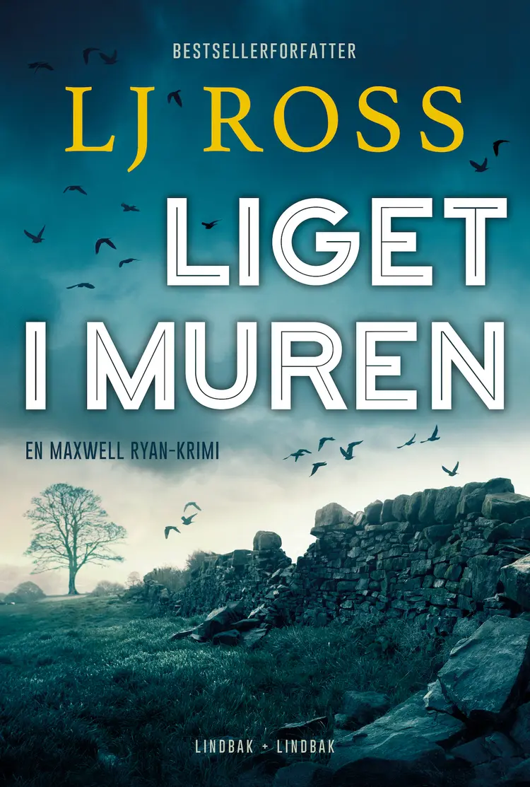 Liget i muren af LJ Ross