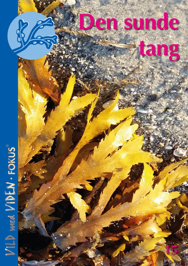 Den sunde tang af Susan L. Holdt