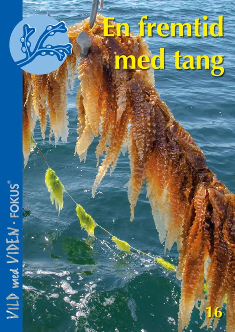 En fremtid med tang af Lone Thybo Mouritsen