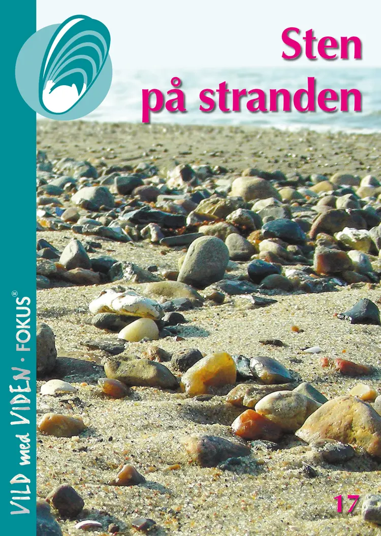Sten på stranden af Bo Pagh Schultz