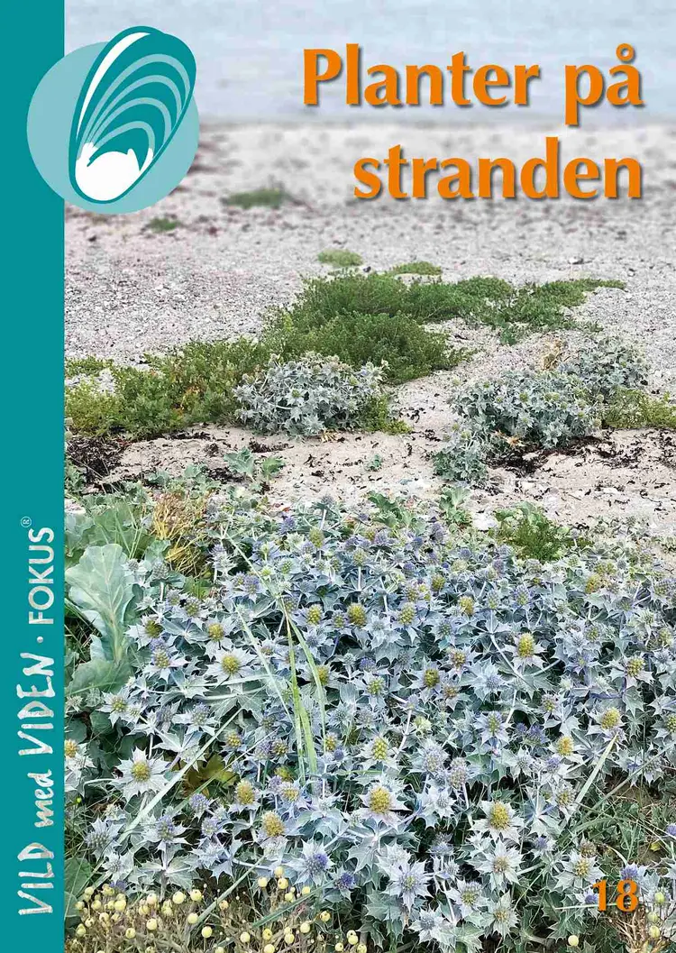 Planter på stranden af Kim Borchardt
