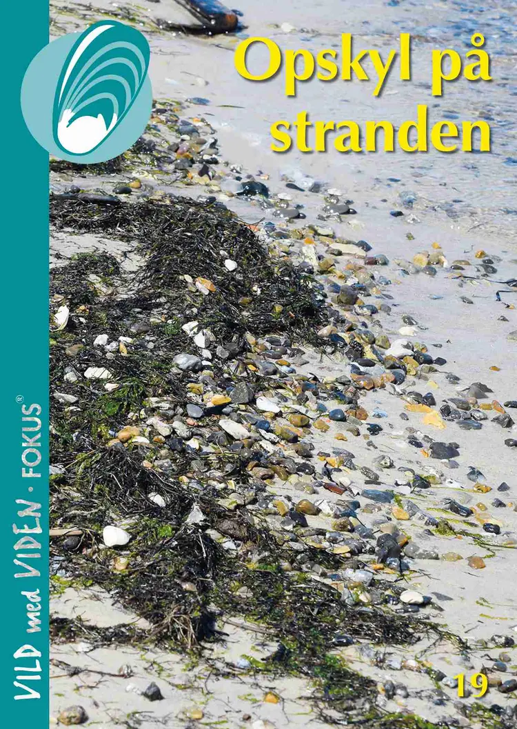 Opskyl på stranden af Charlotte Bie Thøstesen