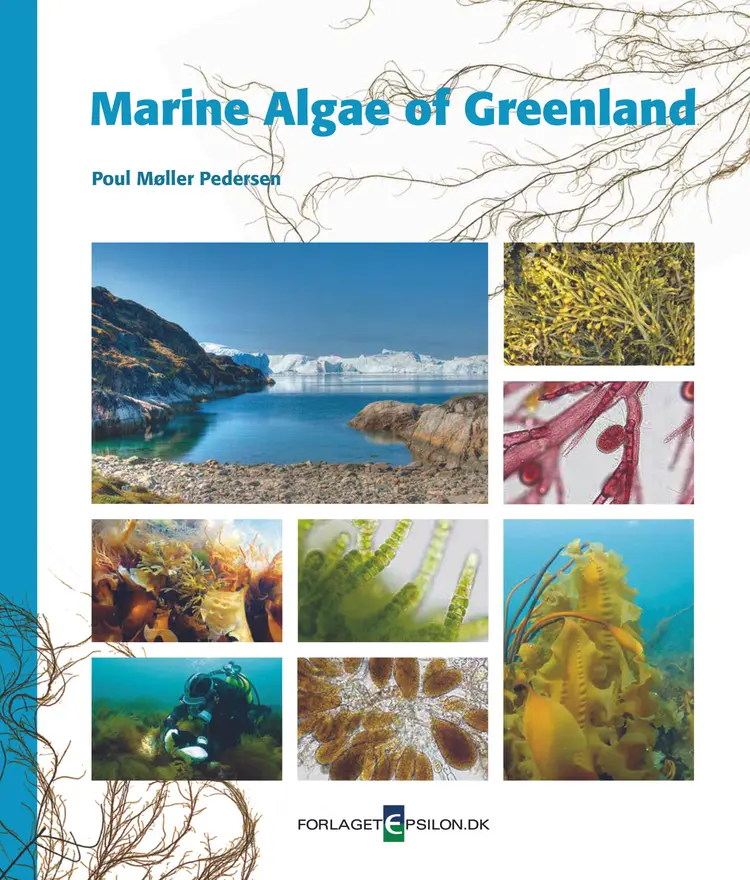 Marine Algae of Greenland af Claus Rye Schierbeck