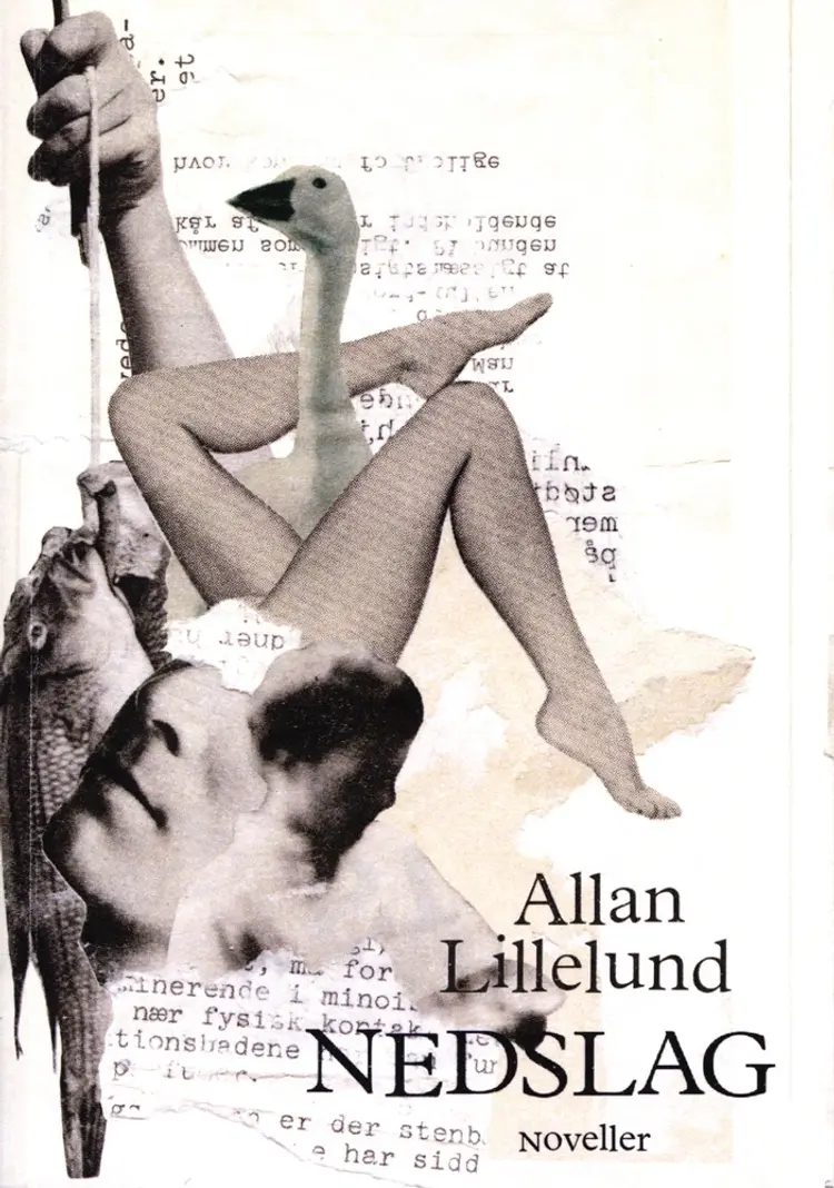 Nedslag af Allan Lillelund