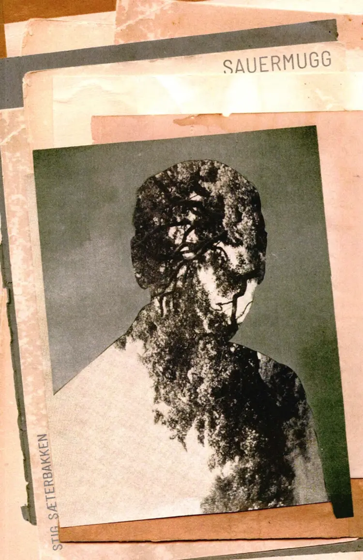 Sauermugg af Stig Sæterbakken