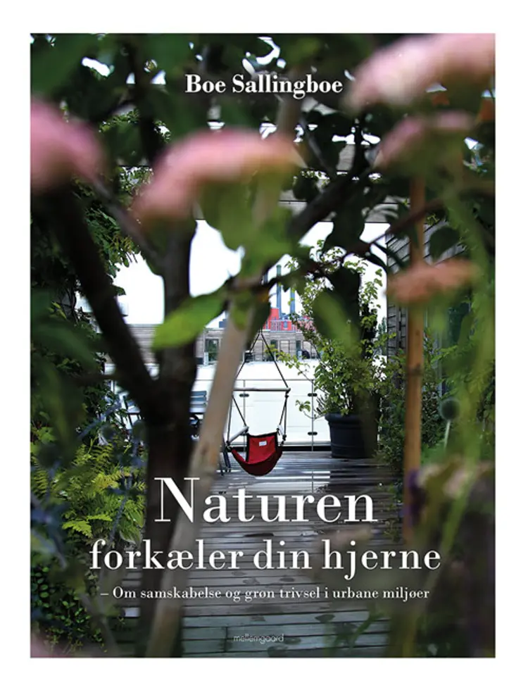 Naturen forkæler din hjerne af Boe Sallingboe