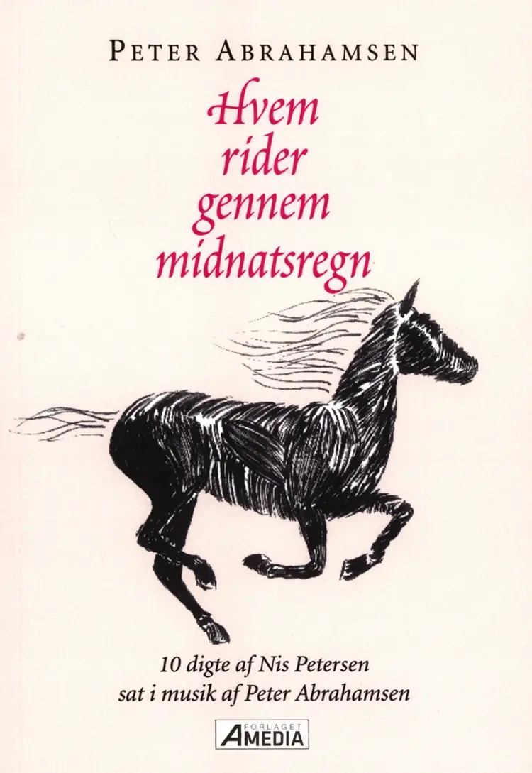 Hvem rider gennem midnatsregn af Peter Abrahamsen