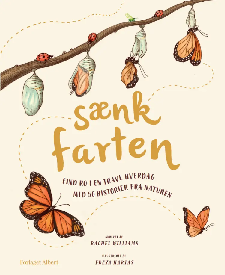 Sænk farten af Rachel Williams