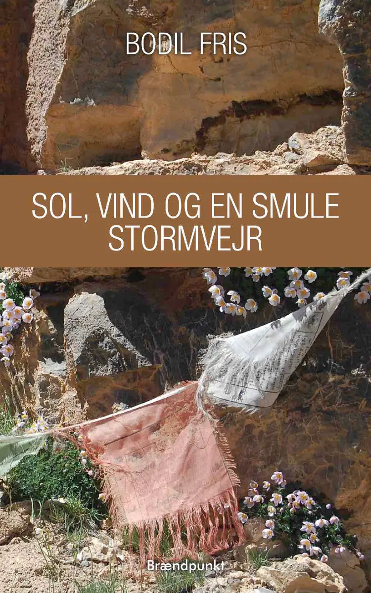 Sol, vind og en smule stormvejr af Bodil Fris