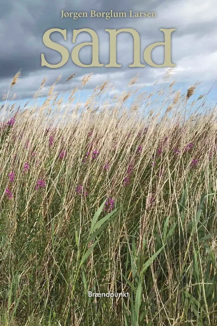 Sand af Jørgen Børglum Larsen