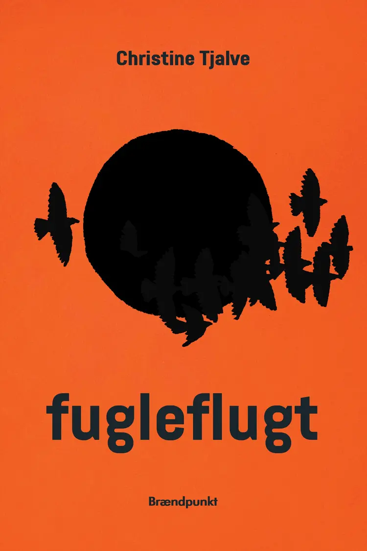 fugleflugt af Christine Tjalve