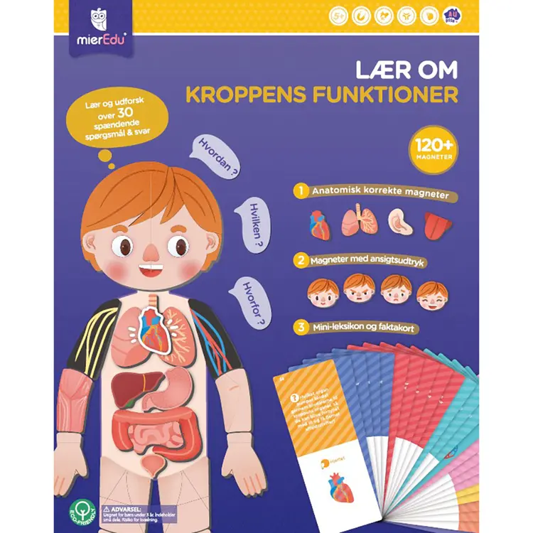 Kæmpe magnetisk legesæt - Lær om kroppens funktioner