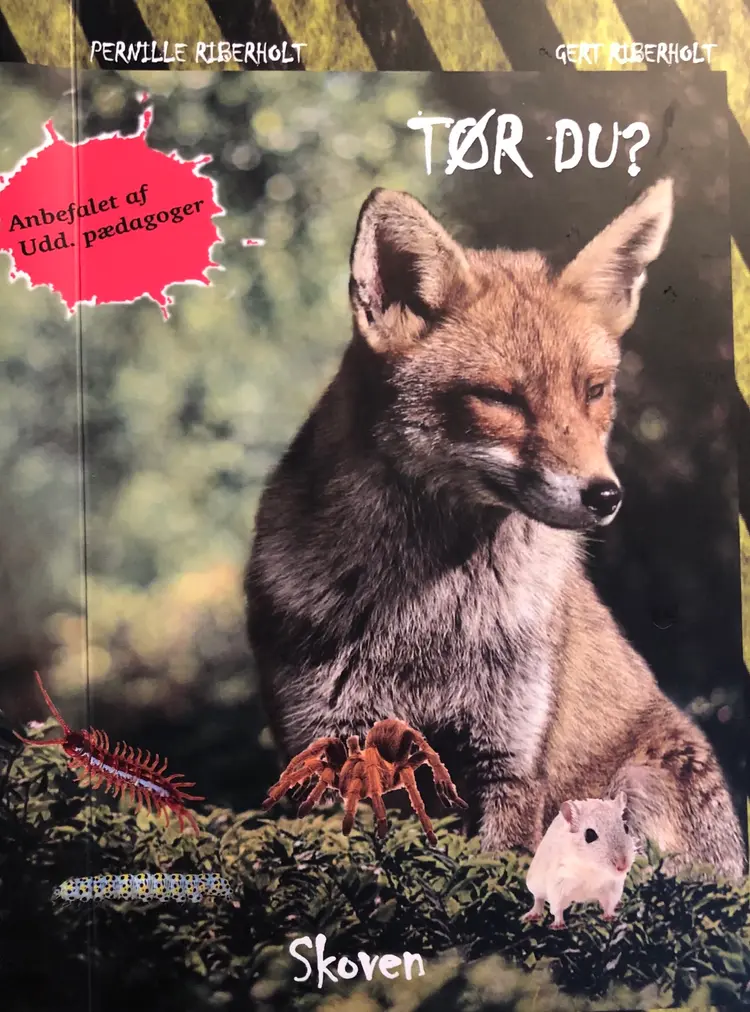 Tør du? af Pernille Riberholt