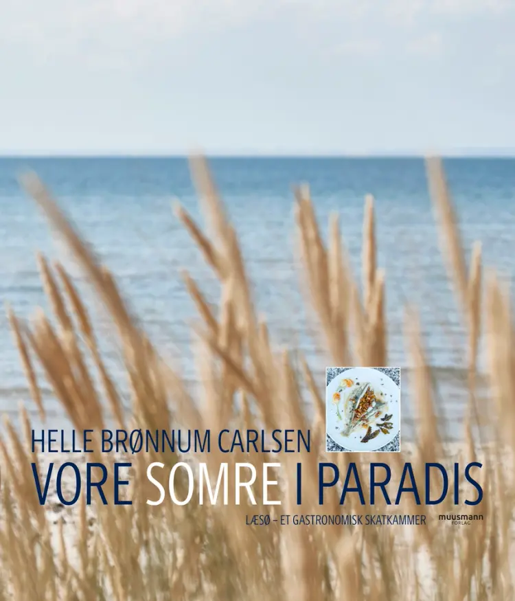 Vore somre i paradis af Helle Brønnum Carlsen